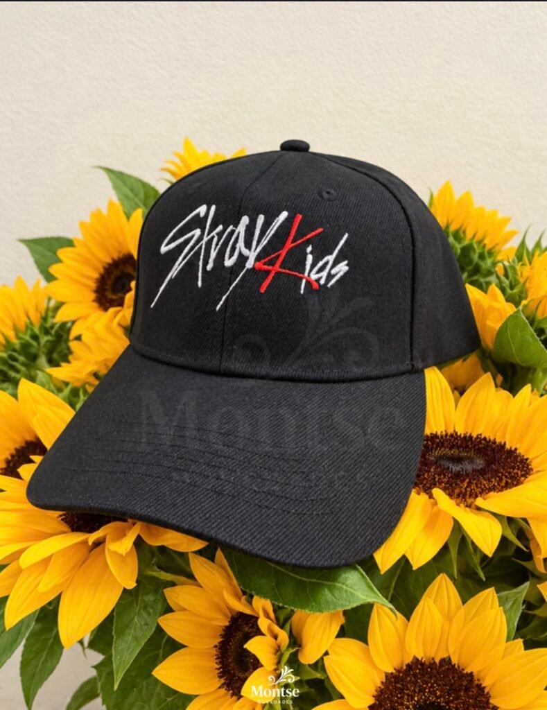Gorro Stray Kids
