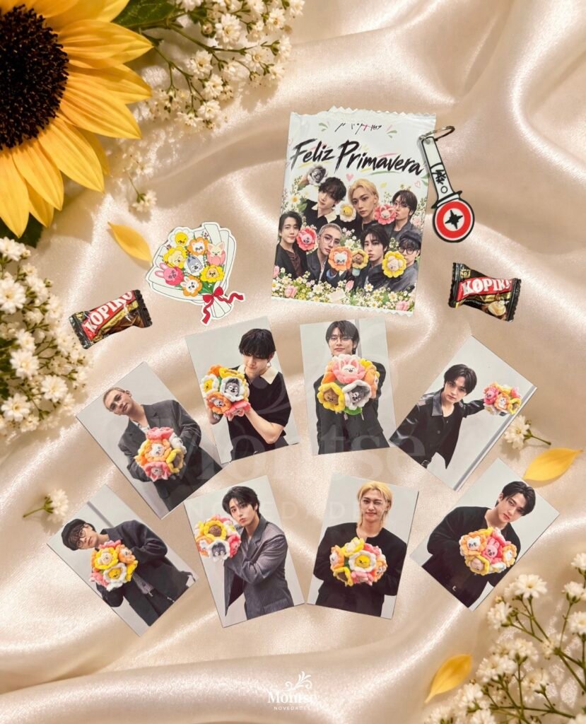 Combo Primavera Stray Kids